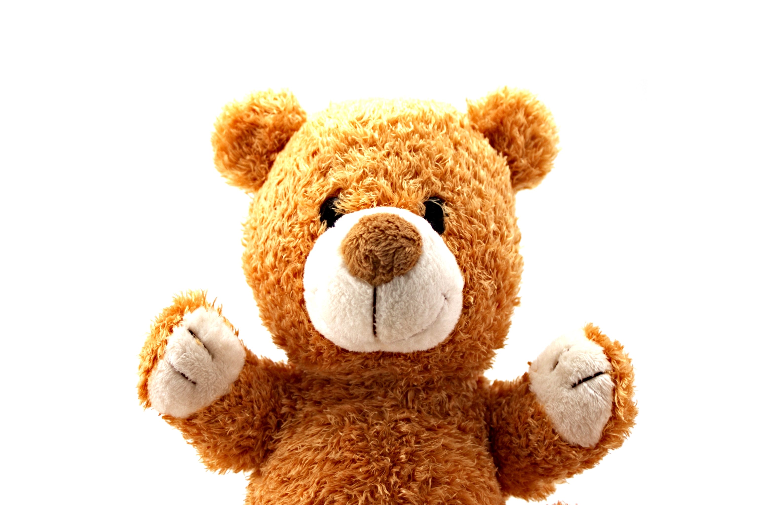 stockvault-teddy-bear114860