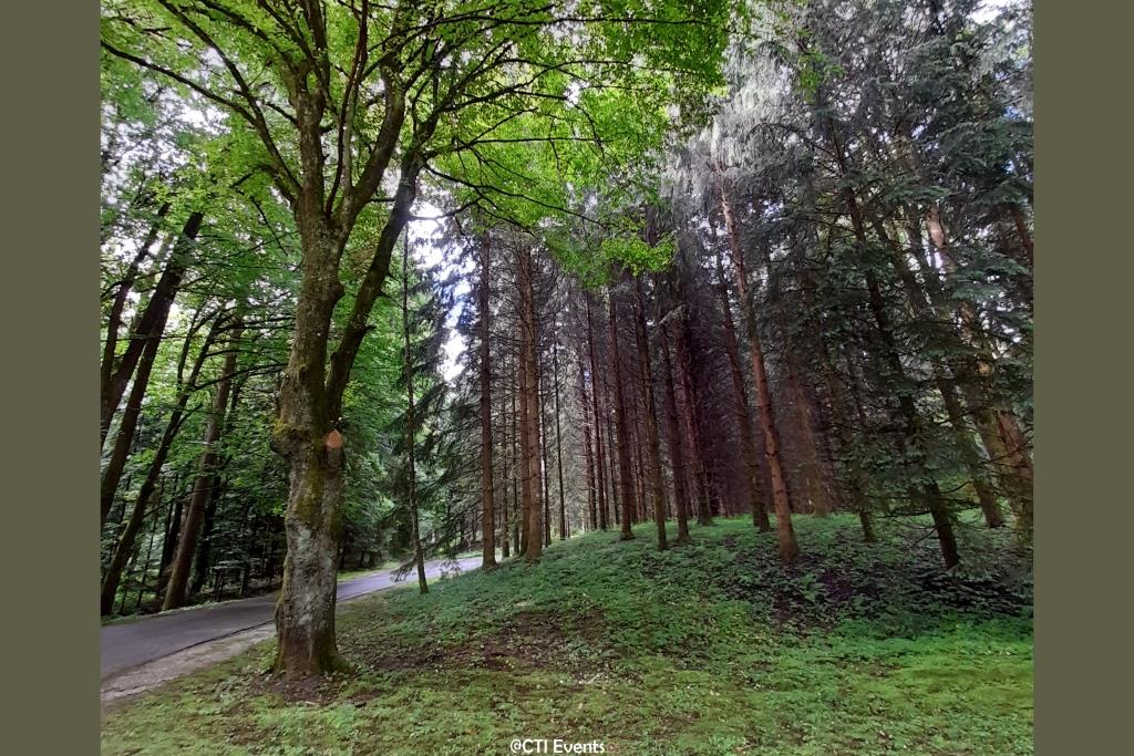 SIW22-eductour-park-brdo-forest